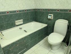 Tiara (D9), Condominium #550799141